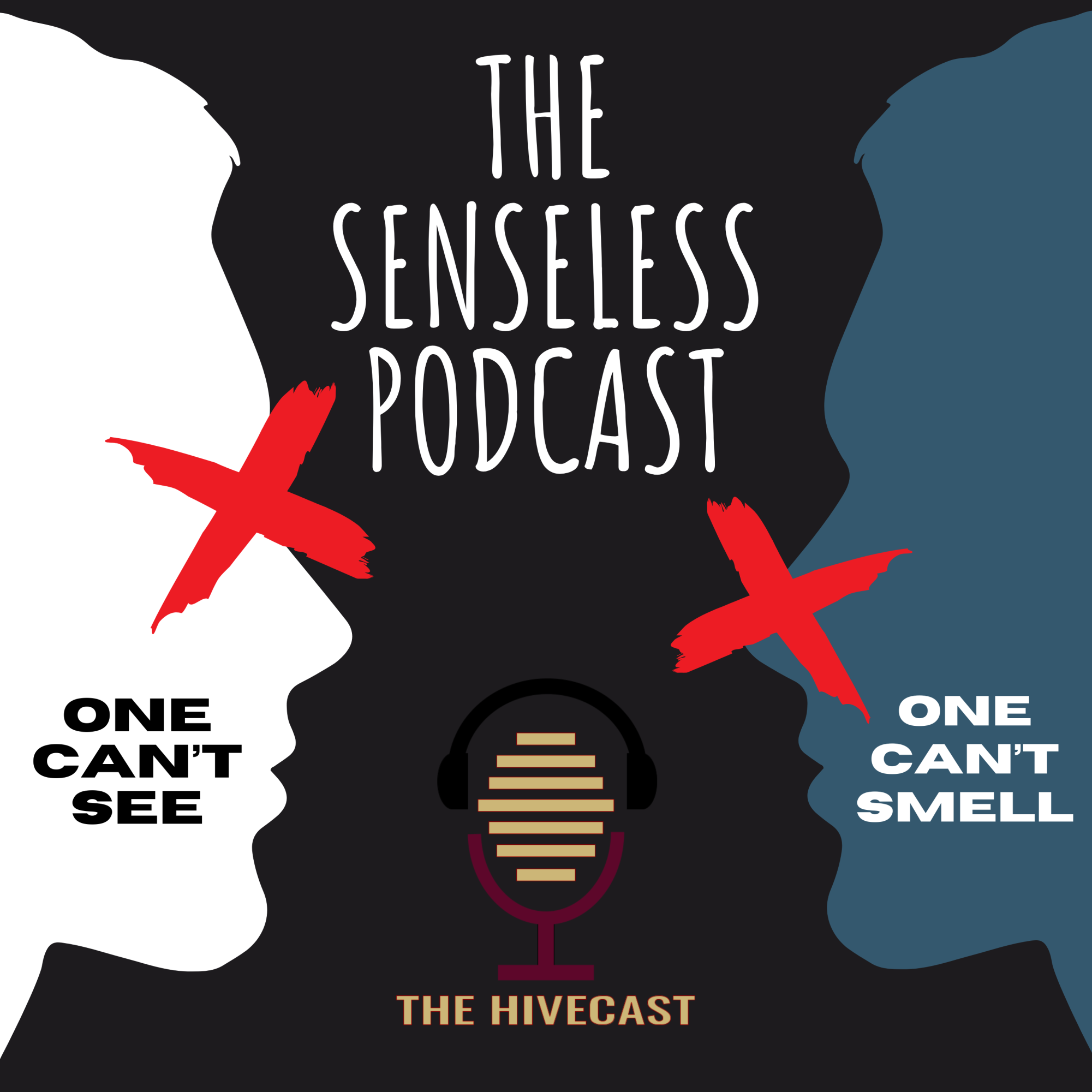 The Senseless Podcast: Episode 1