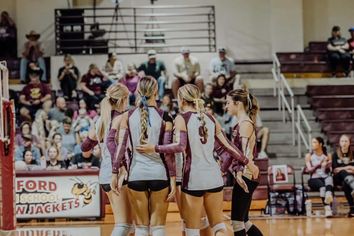 Volleyball falls to defending state champs